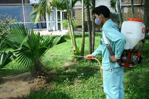 Tree Care Service For Shopping Center