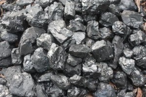 Peat