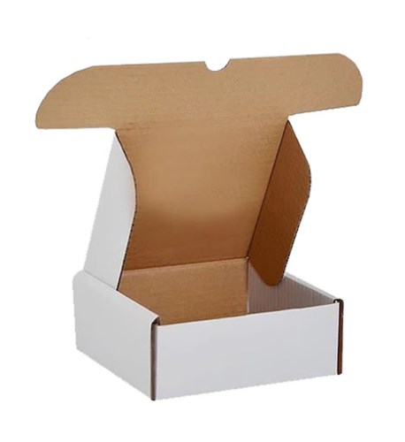 Hinged lid carton box