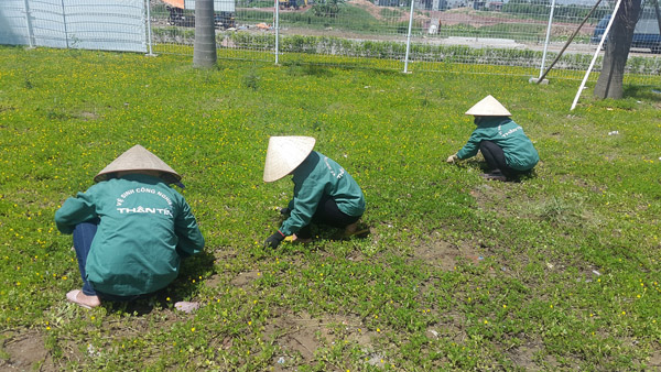 Plant care and supply