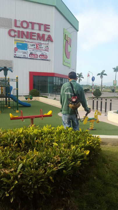 Plant care and supply
