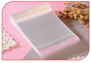 CPP bag with adhesive flap