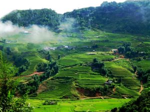 Mai Chau Tour