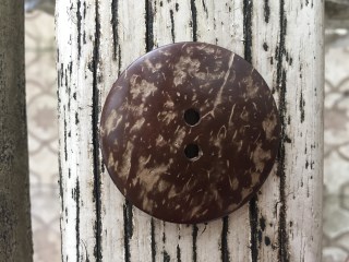 Coconut shell buttons