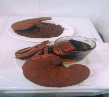 Red Lingzhi mushroom1