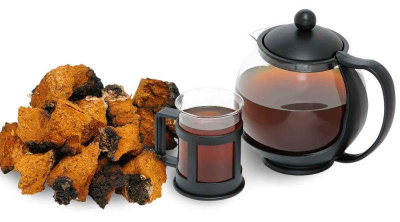 Russian Chaga mushroom