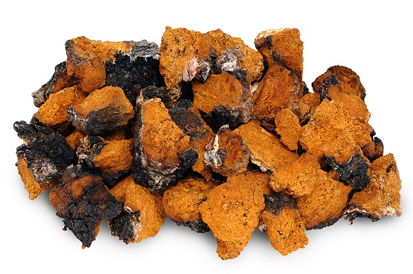 Russian Chaga mushroom