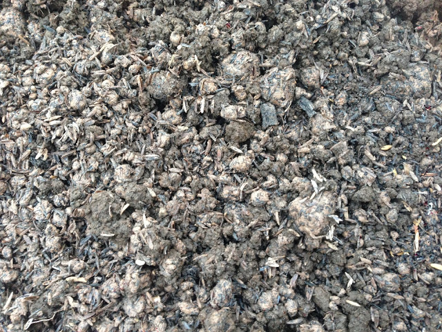 Burnt Rice Husk