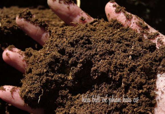 Raw organic fertilizer production