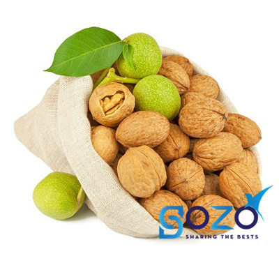 Inshell Walnut