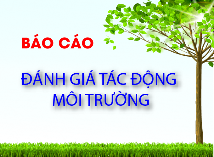 Environmental assessment report