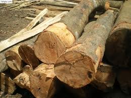 Acacia wood