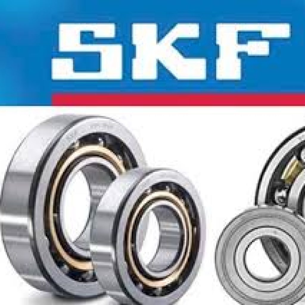 SKF Bearing