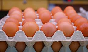Industrial chicken egg