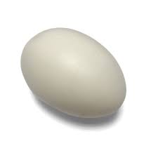Goose Egg