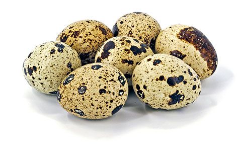 Quail eggs