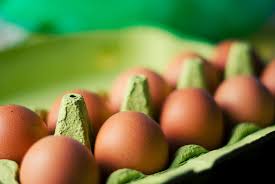 DHA chicken egg