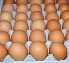 Fresh chicken egg