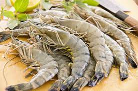 Black Tiger Shrimp
