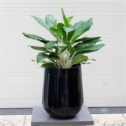 Composite Pots