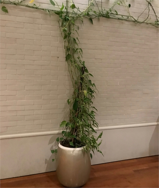 Composite Pots