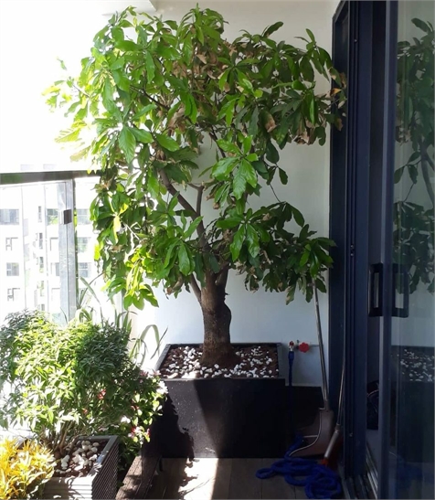 Composite Pots