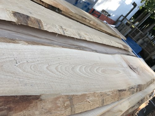 Beech timber