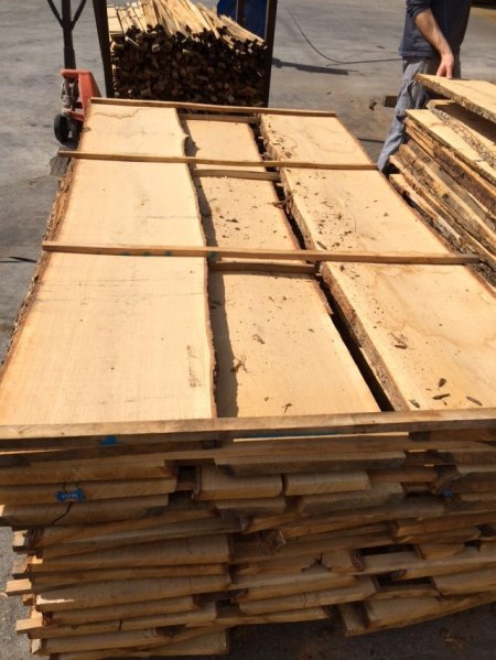 White oak timber