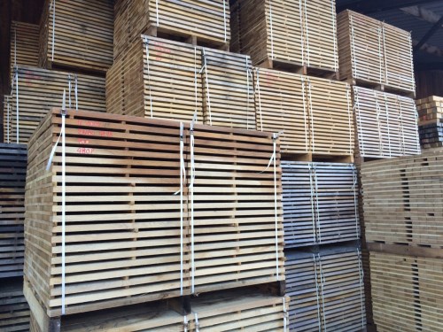 White oak timber
