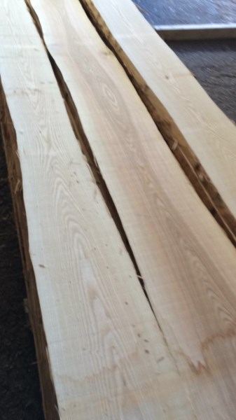 Ash timber