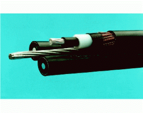 Electrical Wire and Cable