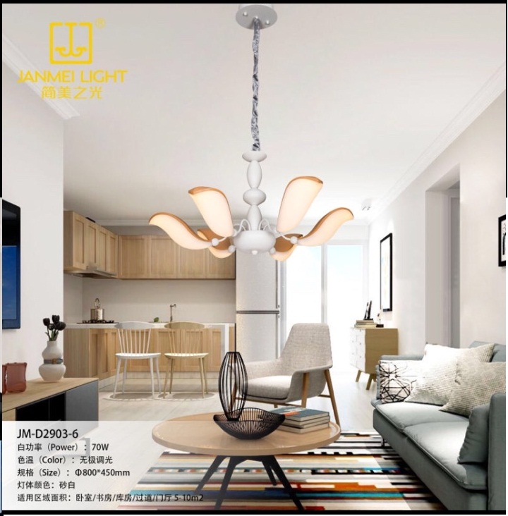 Decorative Led
