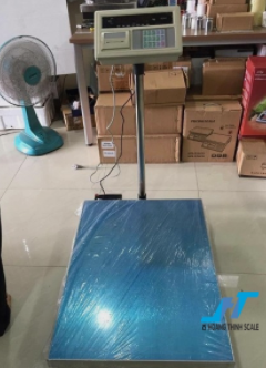 A9 500Kg Table scale