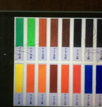 Pigment