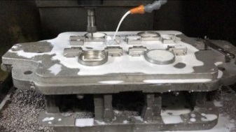 Other mold