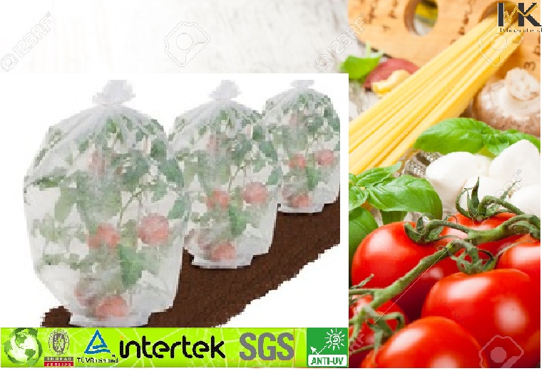 Nonwoven Fabric Application