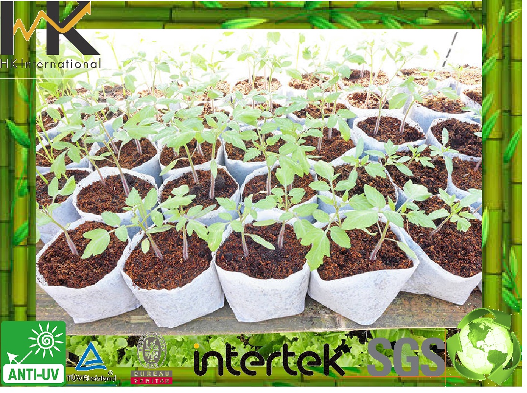 Nonwoven Fabric Application