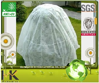 Nonwoven Fabric Application