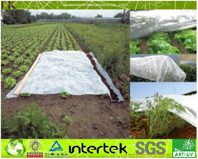 Nonwoven Fabric Application
