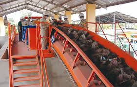 Waste treatment system