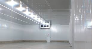 Industrial Cold Storage