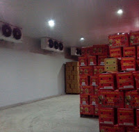 Cold storage rental service