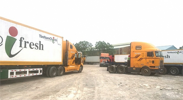 Road transportation