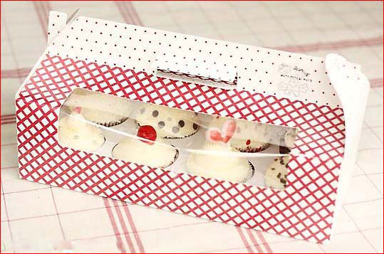 Duplex Paper Box