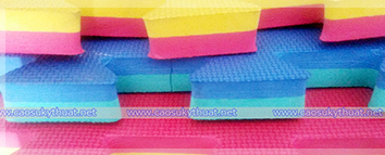 Thick EVA Foam Plate