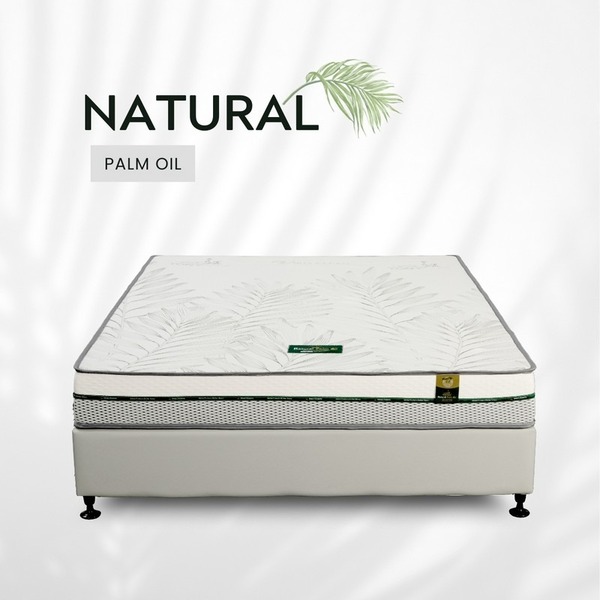 Five Star palm oil foam mattress