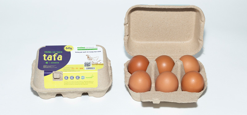 Chicken eggs
