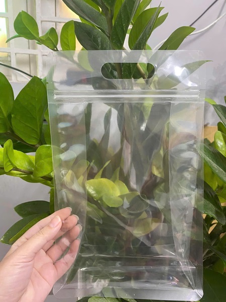Stand-up zipper bag