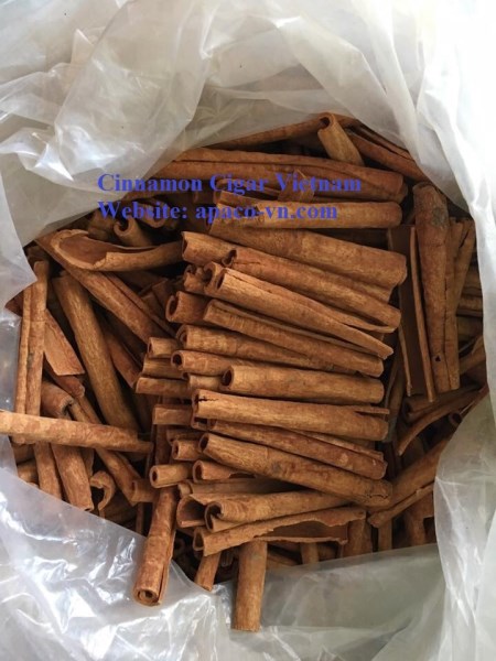 Cinnamon cigar vietnam
