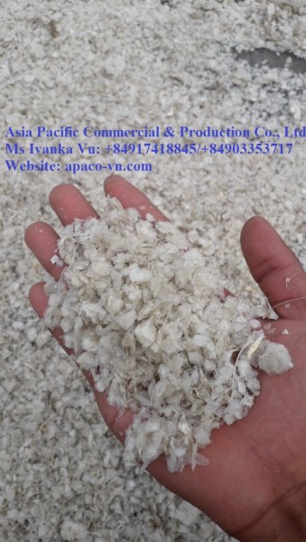 Dried Red Snapper Scale